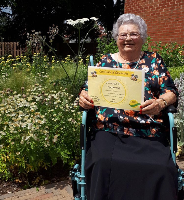 Buzzing – is this Southmead’s most ‘bee-friendly’ care home?